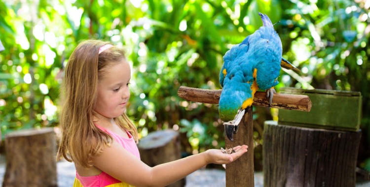 A young girl smiles while admiring a bird on a school field trip